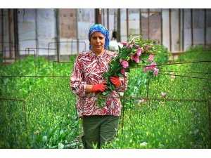 Bademler’in çiçek üreticisi Hollanda borsasında