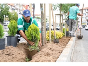 Yeşil Aksaray için ağaçlandırma çalışmaları sürüyor