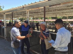 Karacasu’da hayvan pazarı denetlendi