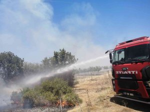Ezine Belediye itfaiye ekipleri yangın bölgesinde