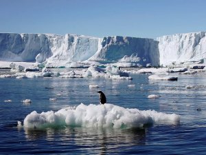 İklim değişikliği: Antarktika’da deniz buzu seviyesi rekor seviyede azaldı