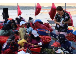 İsot mesaisi yapanlara güneş uyarısı