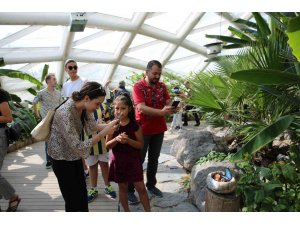 Konya Tropikal Kelebek Bahçesi yoğun ilgi görüyor