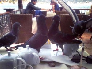 İbrahim Toraman çapkınlık turunda