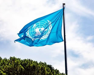 Birleşmiş Milletler Antlaşması'nın 51. Maddesi ne anlama geliyor?