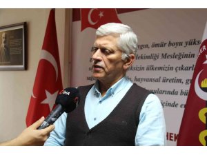 TVHB Başkanı Eroğlu: "(Sahipsiz hayvanlarının barınaklara yerleştirilmesi hakkında) Bu tip önlemlerin alınması gerektiğini düşünüyoruz"