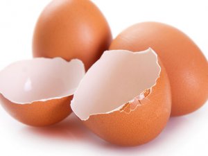 Kireçlenmede yumurta kabuğu zarının faydası