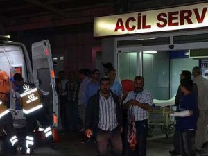 Bursa'da ebola virüsü paniği!