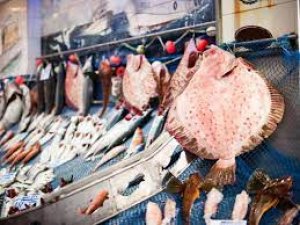 Tezgahların en pahalısı kalkan, en ucuzu ise mezgit