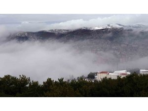 Yozgat’ta yoğun sis etkili oldu