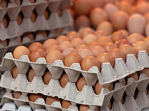 Yumurta fiyatlarında artış devam edecek