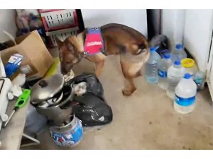 11 kilo esrarı arı kovanı ve sazlıklara gizleyen oğul tutuklandı, baba serbest kaldı