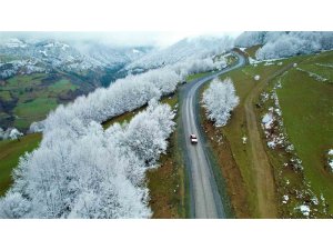 Başkan Demir: "17 ilçemizde vatandaşları konforlu ulaşımla buluşturuyoruz"