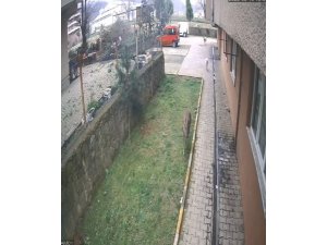 Artvin’de köpeklerin kovaladığı karacayı site sakinleri kurtardı