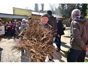 Balıkesir Büyükşehir’den çiftçiye hünnap ve mürdüm eriği desteği