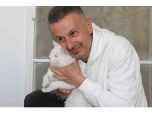 Depremde enkazdan kurtarılan kedi, mikroçip sayesinde sahibine teslim edildi