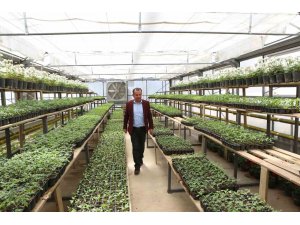 Ziyaret eden herkese ücretsiz dağıtılacak