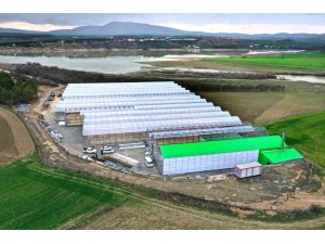 Elazığ’da  jeotermal sera sahasının ilk etap çalışmaları tamamlandı