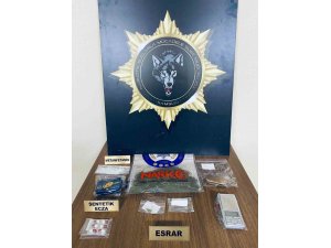 Uyuşturucu ticaretine gözaltı