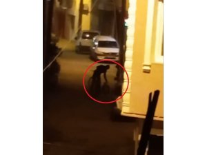 Bisikletli yakıt hırsızları, tesadüfen uyanan vatandaşın bağırmasıyla böyle kaçtı