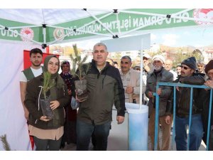 Orman haftası dolayısıyla ücretsiz fidan dağıtımı yapıldı