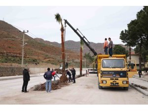 Marmaris’te palmiyeler toprakla buluştu