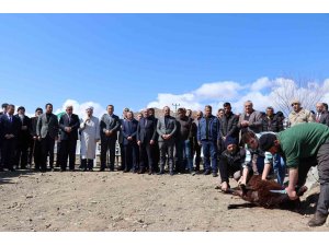 Dutlu köyü yeni camisine kavuştu