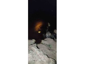 Batman-Dörtyol Petrol Boru Hattı’ndaki akış, sızıntı nedeniyle durduruldu