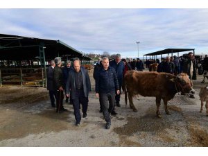 Çınar: “Esnaflarımızın fedakarlığı ve özverisi her türlü takdirin üzerindedir”