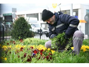 Çayırova’da bahar hazırlığı