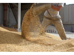 İhracatçılar, depremzede üreticilere pozitif ayrımcılık yapacak