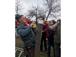 Havran’da aşılama eğitimi yapıldı