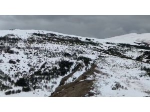 Aşkale bahar mevsiminde beyaza büründü