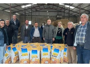 Deprem bölgesindeki çiftçilere ücretsiz ayçiçeği tohumu dağıtıldı