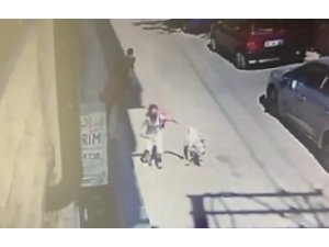 5 yaşındaki çocuğa ve kadına saldıran köpeğin sahibine hapis talebi