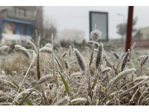 Meteorolojiden Diyarbakır için ‘zirai don’ uyarısı