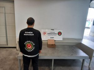 Sarp Sınır Kapısı’nda 250 adet su kaplumbağası ele geçirildi