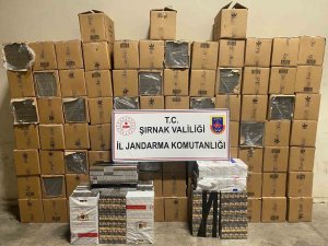 Şırnak’ta 48 bin 900 paket gümrük kaçağı sigara ele geçirildi