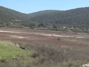 60'tan fazla kuş ve balık türünün eviydi... 'Akdeniz Gölü' artık bataklık