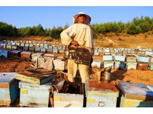 Arıcılara ‘Erken bahar’ uyarısı