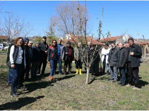 Eskişehir çiftçisine meyve ağaçlarında aşılama kursu