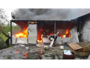 Mangal kömürü üretim tesisi alev alev yandı