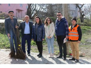 Atakum’da çiftçiye 1000 incir fidanı desteği