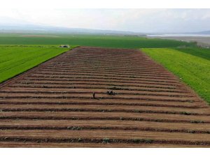 Depremzede çiftçiler üretmek için döndü, tarlalarında mesaiye başladı