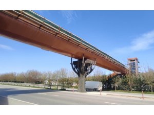 Ormanya yaya üst geçidinde sona gelindi