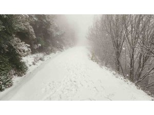 Yalova’da yüksek kesimler kar yağışıyla beyaza büründü