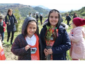 Söke’de fidanlar toprakla buluşturdu