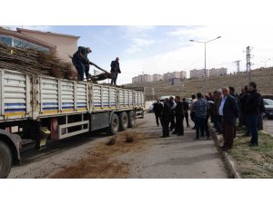 Van’da 31 bin adet meyve fidanı dağıtıldı