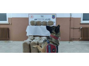 Antalya’da kaçakçılarla mücadele