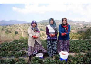 Başkan Aykurt: “Kırsalda üretim yapan vatandaşlarımızın sigorta primleri devletimiz tarafından karşılanmalıdır”